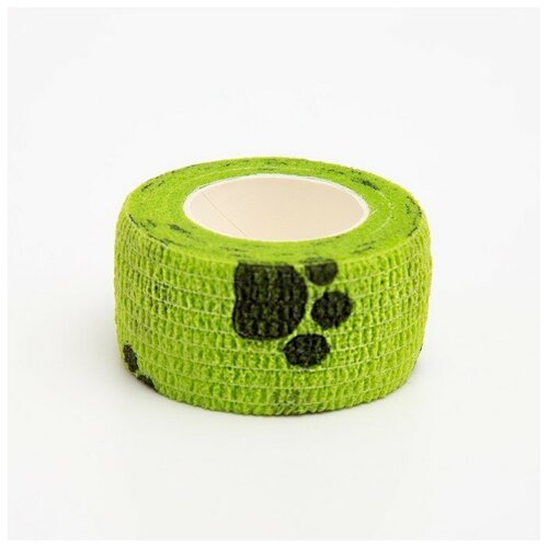 ���� ���� ����������������� 