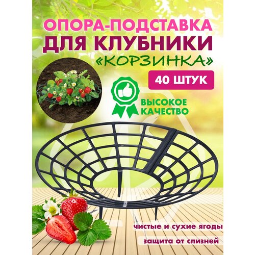 ���� ��������� ��� ��������, �����, ��������, ��������� ������� ��� ������ ��������, ��������, ������ ����� 40 ����, ������ �� 1495 ���