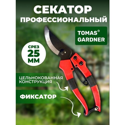 ���� Tomas Gardner ������� ������� ����������������, �������, ������ �� 313 ���