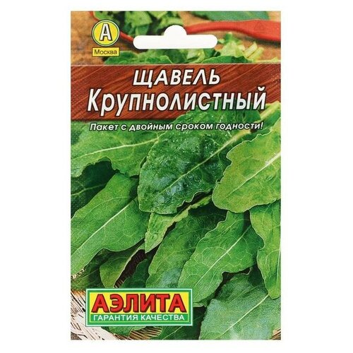 ���� ������ ������ 