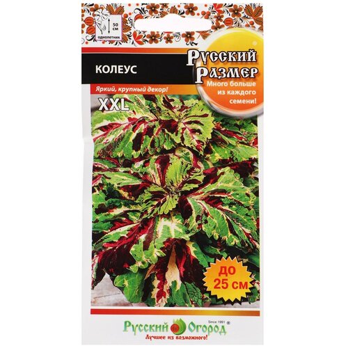    ,   , 4  5431536,   333 