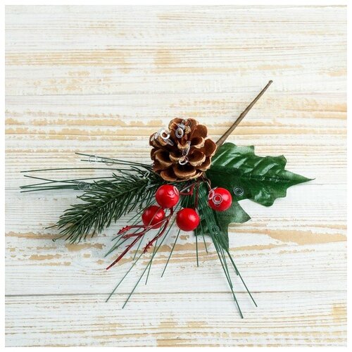 ���� ����� ������ ���������� ������ ����� 4301781, 19 ��, ������������, ������ �� 244 ���