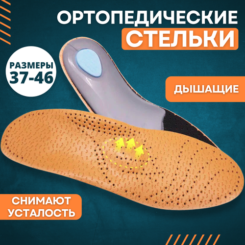 ���� ��������� �������������� �������, �-�:41-42 ����: �������, ������ �� 556 ���