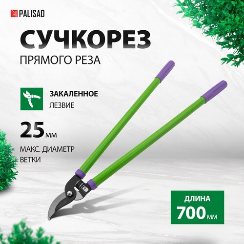 ���� �������� PALISAD 60521 700, ������ �� 1299 ���