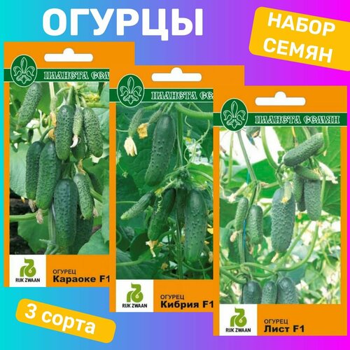     /  F1,  F1,  F1,   482 