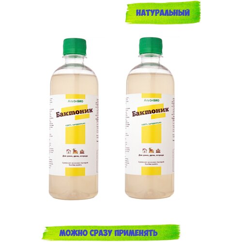 ���� ����������� �������� 