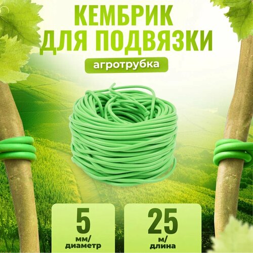 ���� ������� - ���������� ��� ��� �������� ��������� � ������ �������� ������� 5�� � ����� 25�, ������ �� 779 ���