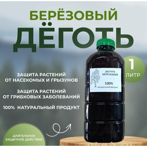 ���� ������ ��������� 1�, ������ �� 1015 ���