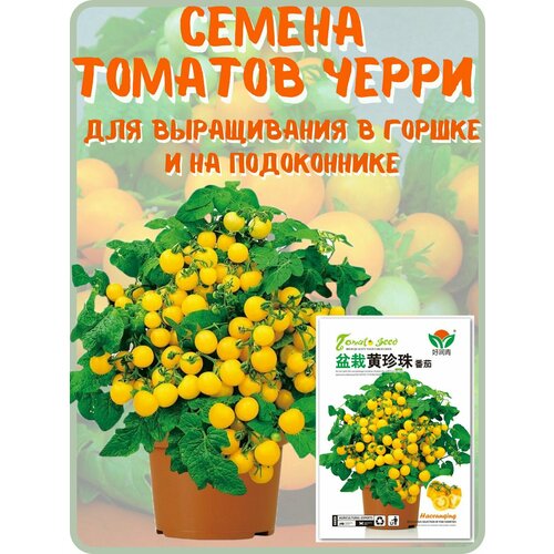 ���� ������ ��������� ����� ��� ����������� � ������, ������ �� 400 ���