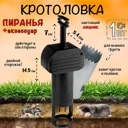   ,   , ,    ,  , /, 1 ,   899 