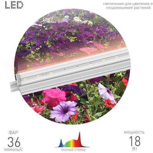       18  LED 5     -     , -, 