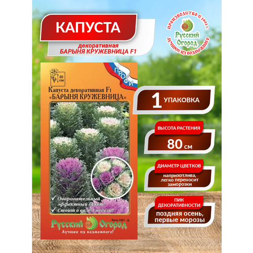 ���� ������� ������� ������������ 