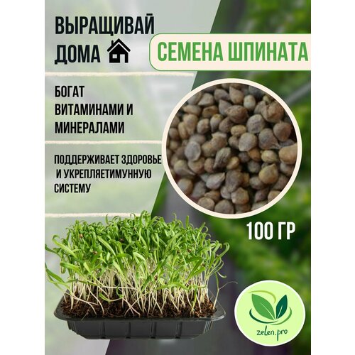 ���� ������, ������ �����������. ������ ��� ������������., ������ �� 699 ���