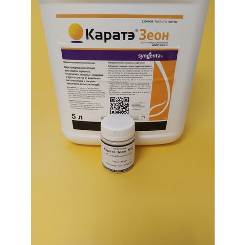 ���� ���������� ������ ���� �� ���������-���������� 50 ��, ������ �� 479 ���