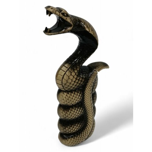 ���� ��������� ������� ����� ���� ������, ������ �� 1049 ���