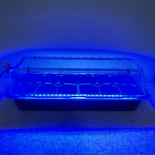 ���� ������ ��� ������ � ������� � ���������� ������ ������ �� 12 ������� �����, ������ �� 1800 ���