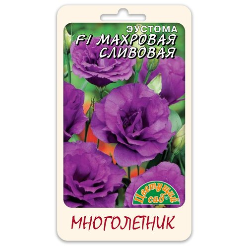 ���� ������� �������� �������� F1 5�� �������� ���, ������ �� 260 ���