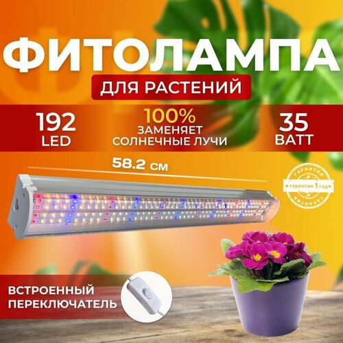       ,    ,      ,  35  192 LED   -     , -, 