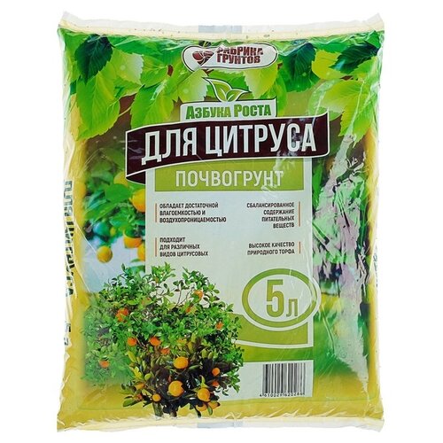 ���� ���������� ������� ������� ������, 5 �, 2.3 ��, ������ �� 109 ���