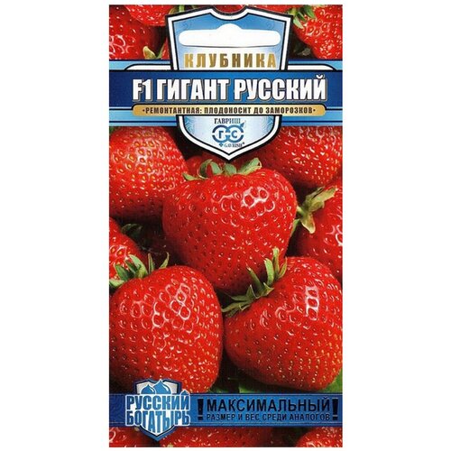 ���� ������ ������ ������� �������� �������� ������������ ������ ������� F1, ������ �� 439 ���