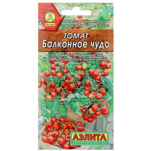 ���� ������ ����� 