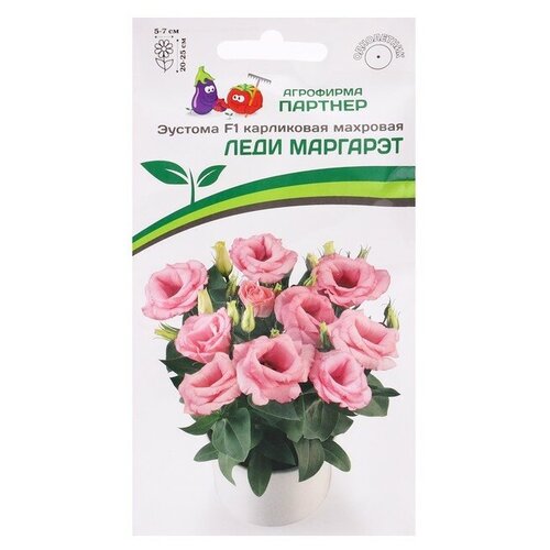 ���� ������ ������� 