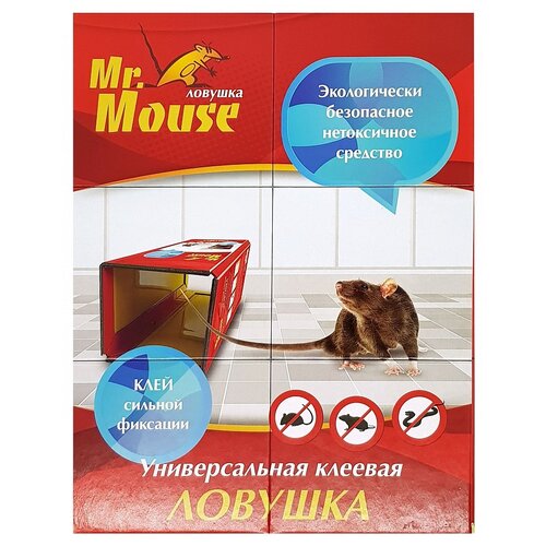    Mr. Mouse     (10 ..) green 3 .   -     , -, 