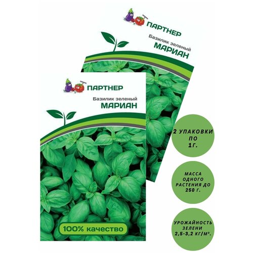 ���� ������ ������� ������� ������ /��������� �������/ 2 �������� �� 1 � �����, ������ �� 450 ���