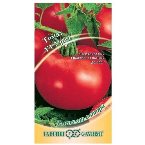 ���� ������ ������ ������ �� ������ ����� ���� F1 0,1 �, ������ �� 319 ���