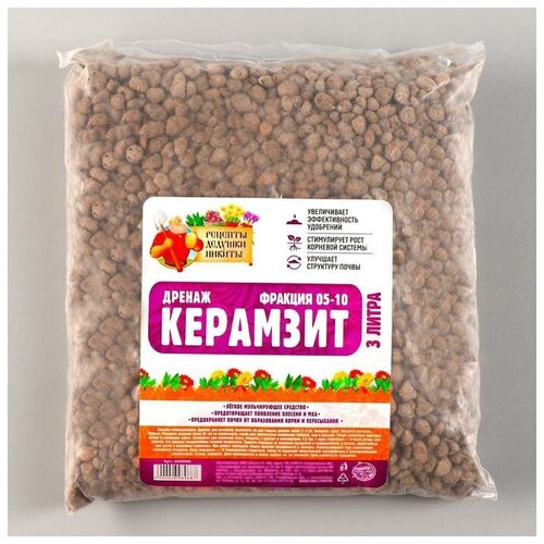 ���� ������ �������� 