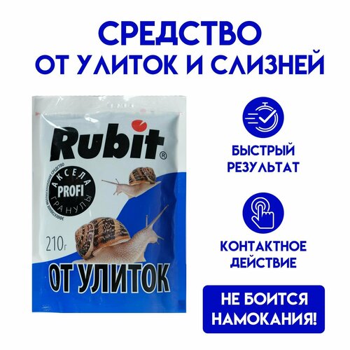  8 .       , 210  ( : ),   964 