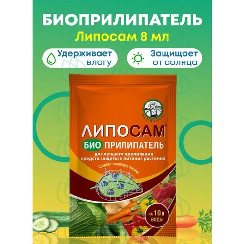 ���� �������������� ������� 8��, ������ �� 82 ���