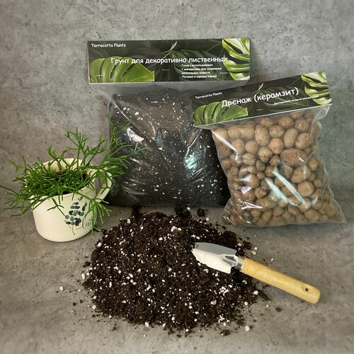���� �������� ��� ���������. ������� ����� ��� �������� � ������ Terracotta Plants, ������ �� 451 ���