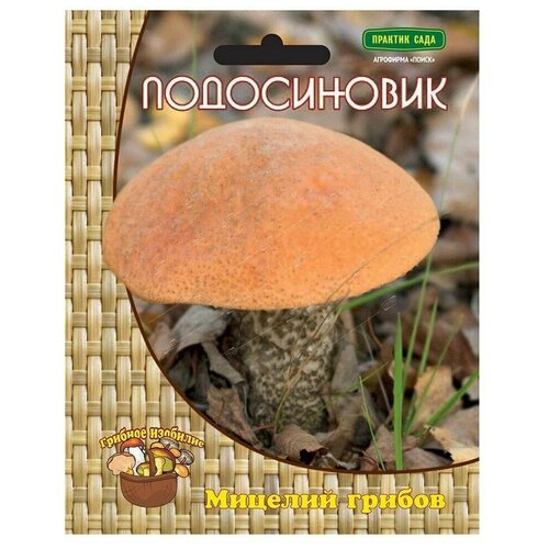 ���� ����������� (������� �� ��������), ��, ������ �� 320 ���