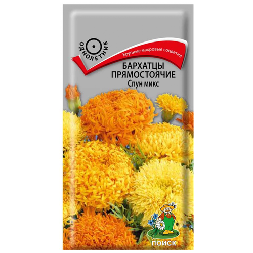 ���� ������� �������� ������������ 