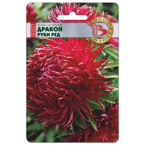 ���� ����� ������ ���� ���, ������ �� 124 ���