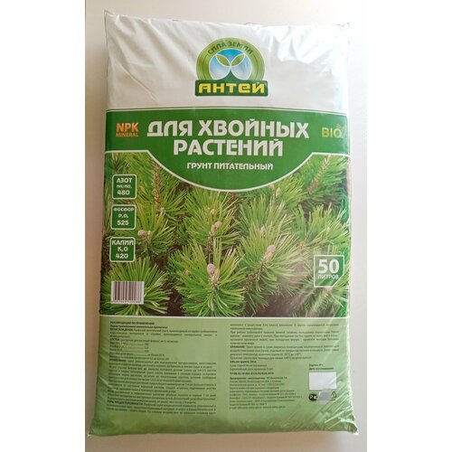 ���� ����� ��� ������� 50 �, ������ �� 1598 ���