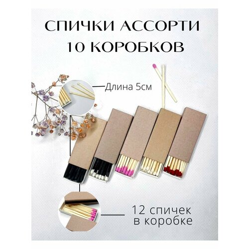 ���� ������ ����������, ������ �� 510 ���