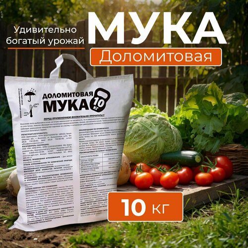 ���� ��������� 