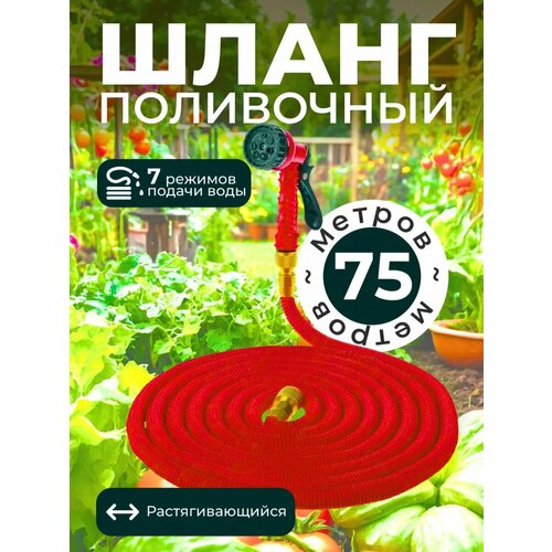 ���� ����� ������� ���������� ���������������, ������ �� 3000 ���