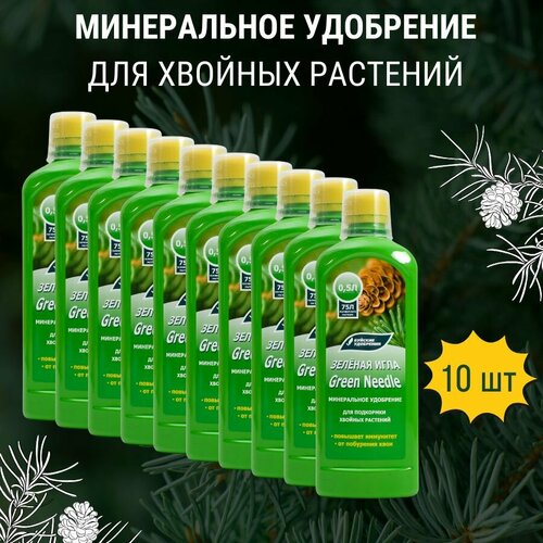 ���� ������ ����������������� ��������� 