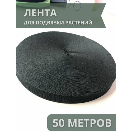 ���� ������ ��� �������� ��������, ������ �� 347 ���