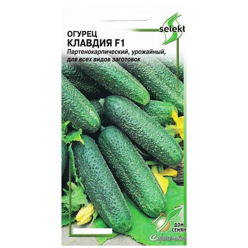 ���� ������ ������� F1, 8 �����, ������ �� 245 ���