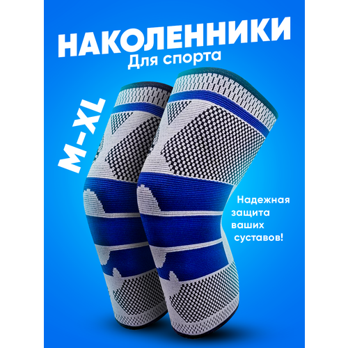       Shark Fit,   ,  M, 2 ,   537 