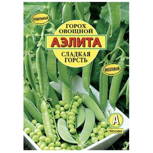 ���� ������. ����� ��������� 