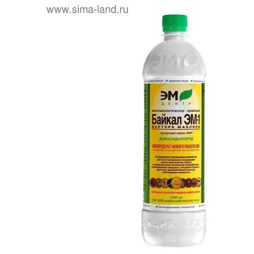 ���� ����������� ������� ��� ��������� ������� ����� � ������ 