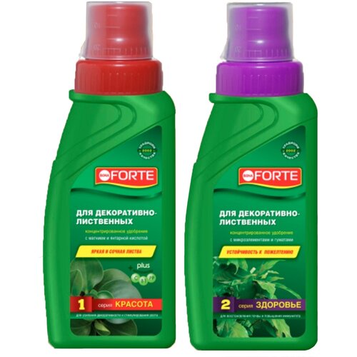 ���� ����� ������ ��������� Bona Forte ��� �����������-���������� �������� ������� 285��+�������� 285��, ������ �� 514 ���