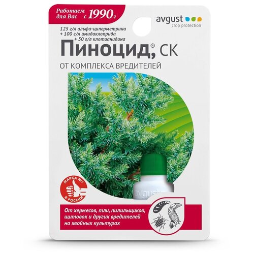  Avgust     , 10 , 20 ,   239 