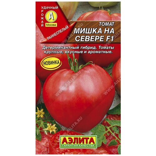 ���� ������. ����� 