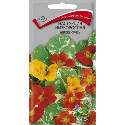 ���� ������ ��������� ������ ����������� 1� ��� ����� 40�� (�����), ������ �� 42 ���